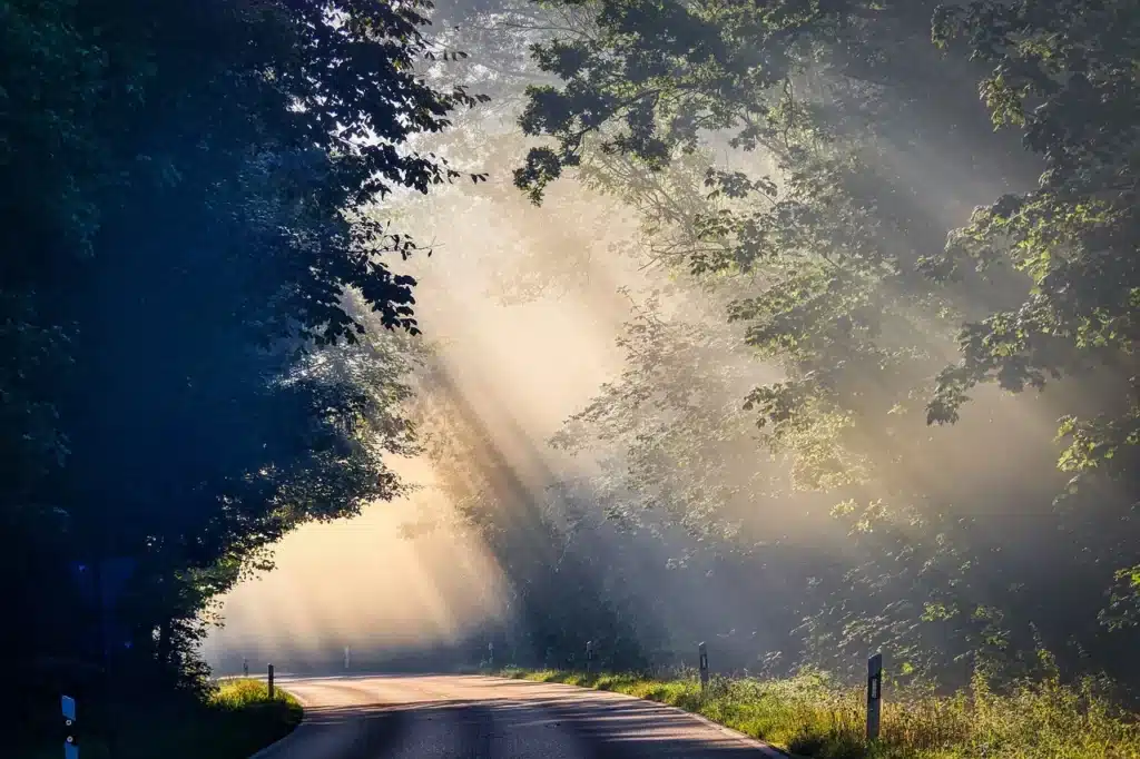 Sonnenstrahlen fallen durch Bäume hindurch auf eine schmale Straße