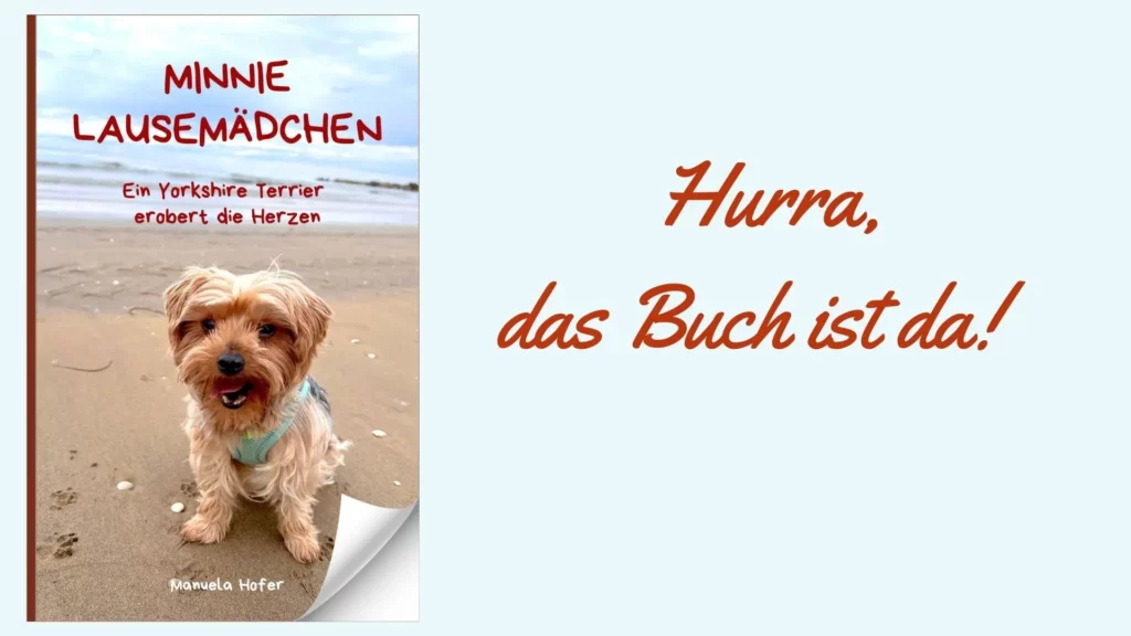 Buch Minnie Lausemädchen