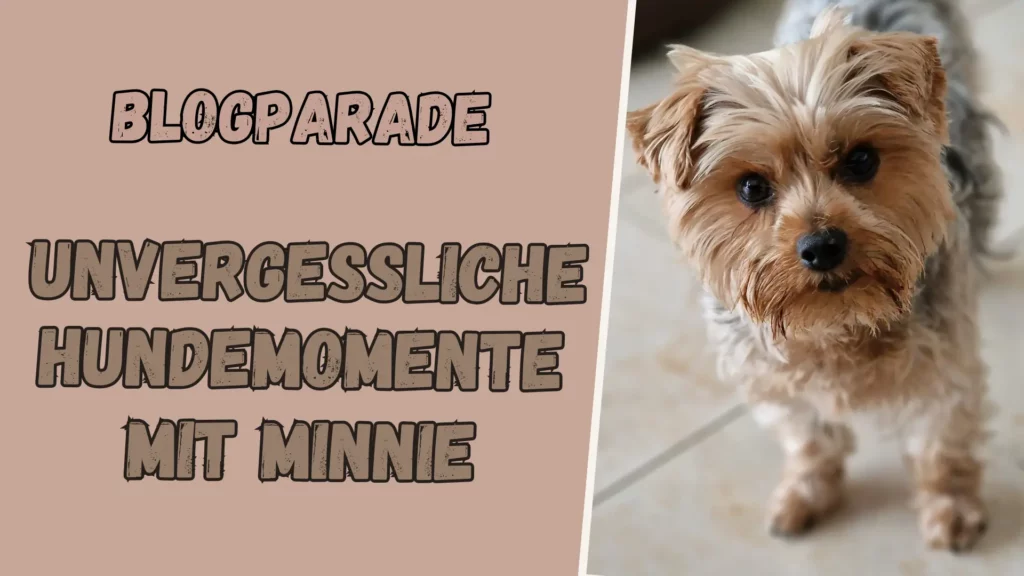 Titelbild zur Blogparade unvergessliche Hundemomente mit Minnie, rechts im Bild Minnie der Yorkshire Terrier