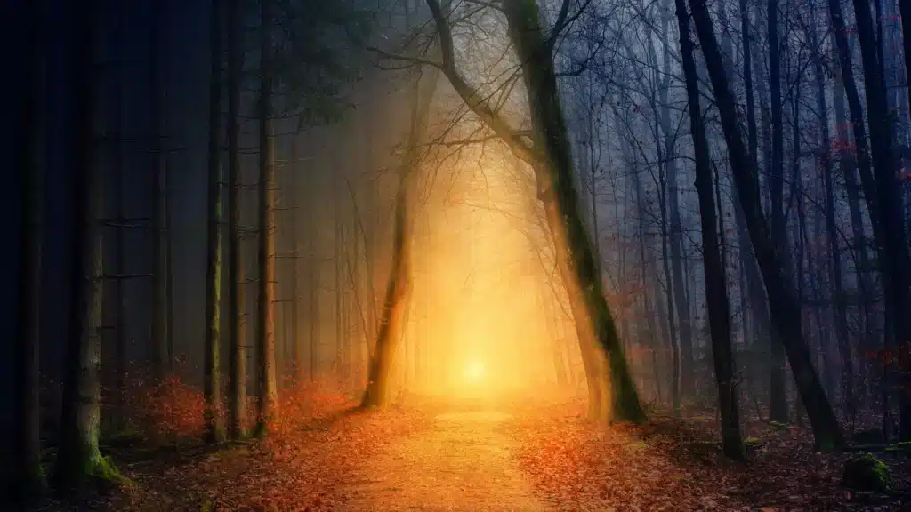 Dunkler Wald mit Weg zum Sonnenaufgang